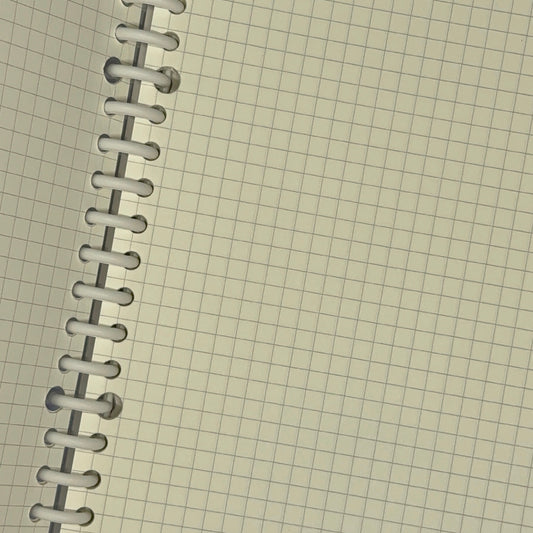 Taiyaki fish grid Journal