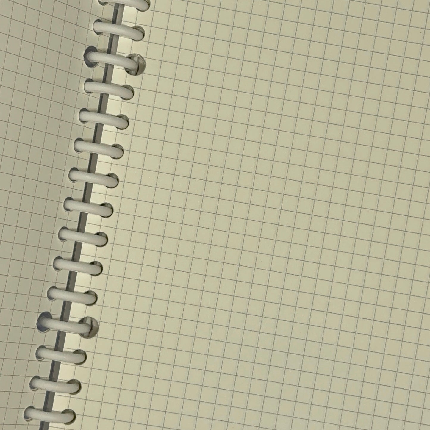 Taiyaki fish grid Journal