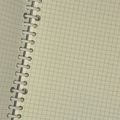 Taiyaki fish grid Journal